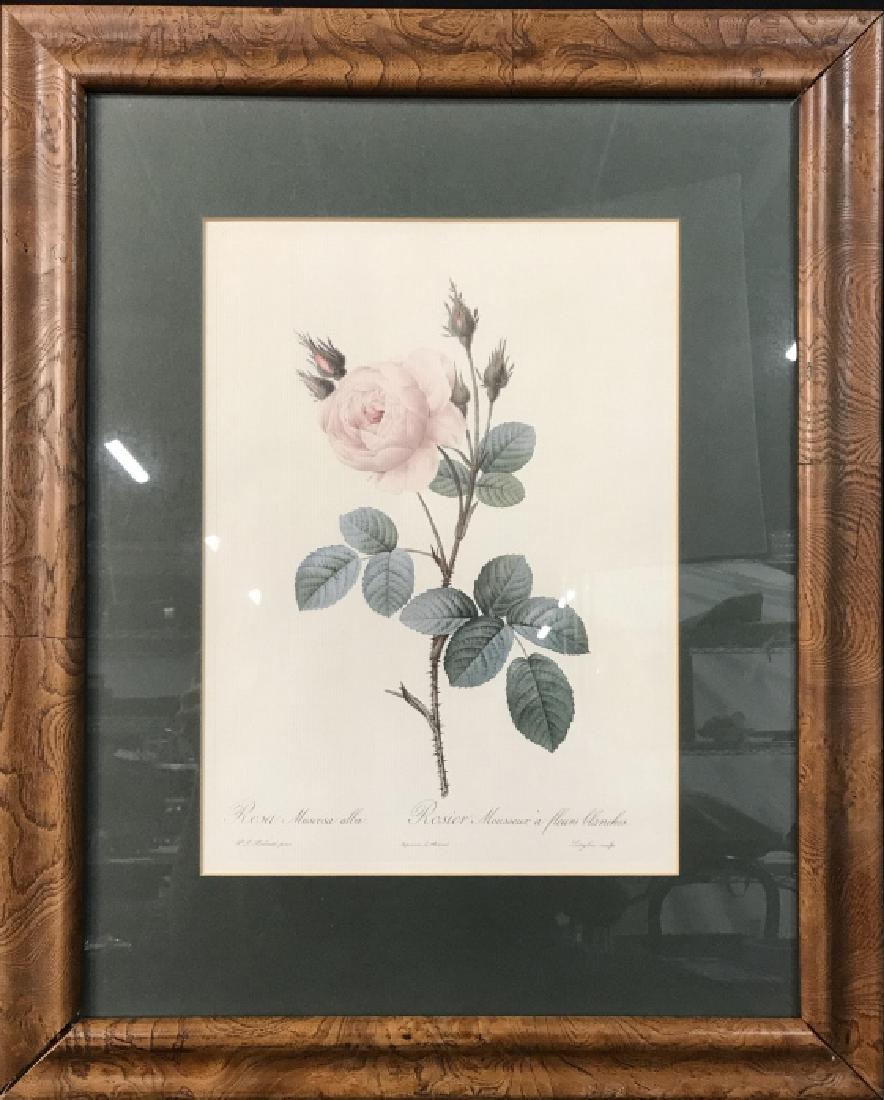 Frame Floral Print (1 of 7)