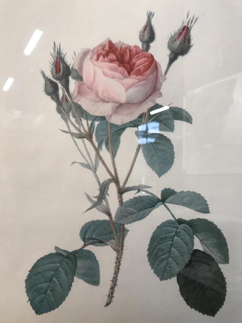 Framed Floral Print (1 of 6)