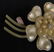 Old Celluloid Rhinestone Statement Brooch - 5