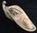 Set Vintage Cornucopia Style Candle Holders & Dish - 8