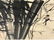 Framed & Signed Asian Ink Painting on Paper & Silk - 4