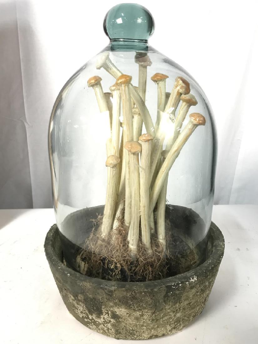 Mushroom Diorama W Glass Dome Cover: Mushroom Diorama appears to be Composite base appears to be stone. Includes glass lid with significant weight. Mushroom sculptural under dome, Measures approx 18 inches tall 12 inches wide. Art, Sculp