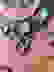 item-71991484=4