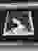 item-72243143=6