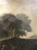 Signed Jean-Baptiste-Camille COROT Oil On Canvas - 10