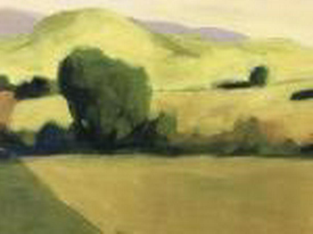 Signed Print on Canvas, Green Landscape: Signed print on canvas depicting yellow green farmland landscape. Signed D. Skumer In lower right corner. Canvas is set in black tone coated frame. Measures approx 28.2 inches in height by 39.2 inches