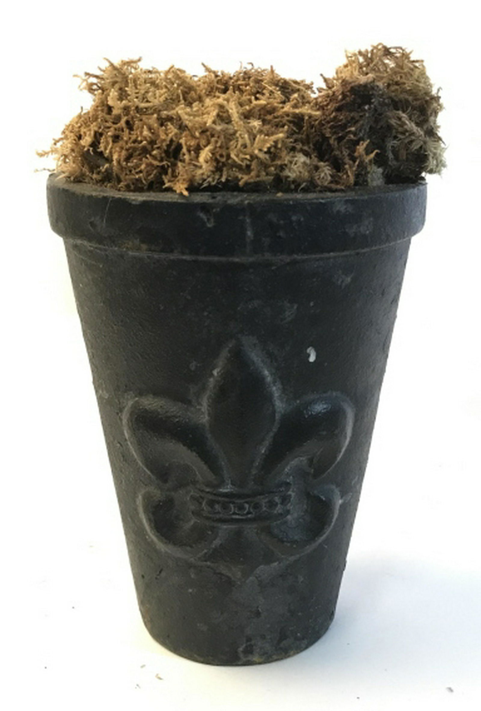 Cast Iron Decorative Planting Pot Cast iron decorative: Cast iron decorative planting pot in charcoal color. Height is approximately 6 inches. Max width measures approximately 5 inches. Decorative accent on front and back of pot. 5 Cast iron planter, plant