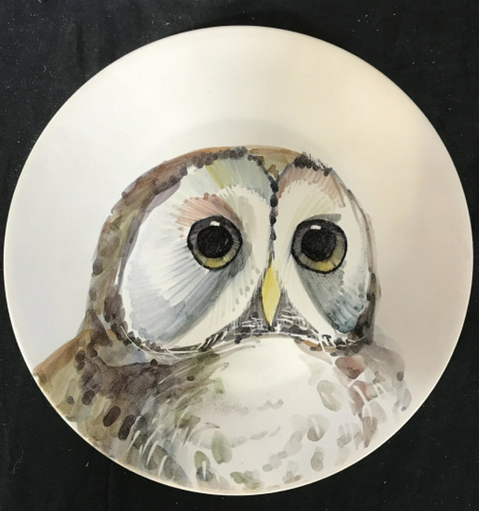 Artist Signed Owl Plate, France Hand painted decorative: Hand painted decorative plate with owl Figural face, Signed on reverse in French, Made In France diameter app 10 inches, decor piece, shelf plate, animal art, arts and crafts, decorative tableware