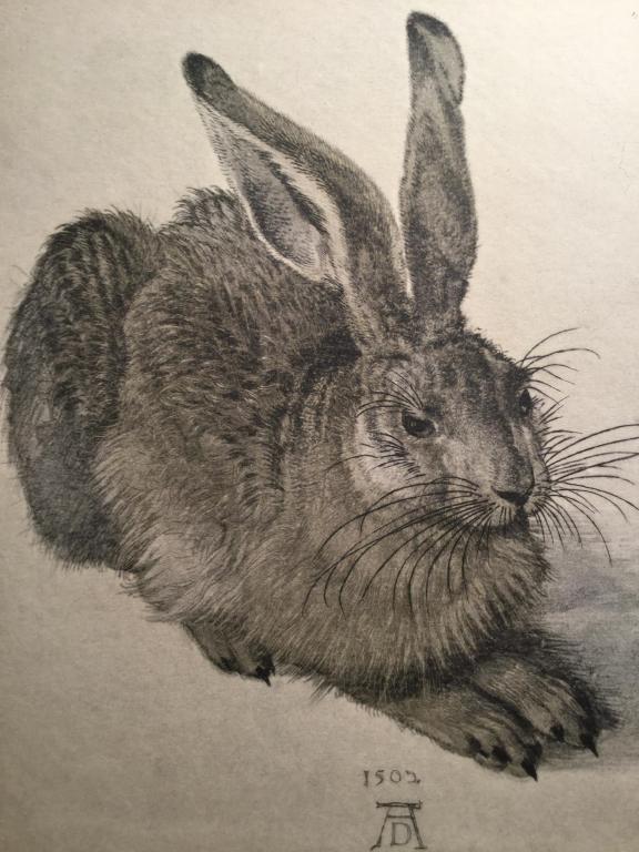 Lot 2 Durer Prints of Hare & Squirrels, Framed: Each print is on board and set in wood frames. Larger print, the bunny, measures approx 14.75 inches in height by 13.25 inches in width with frame. Decorative wall art, rabbit art, squirrel art, wildl