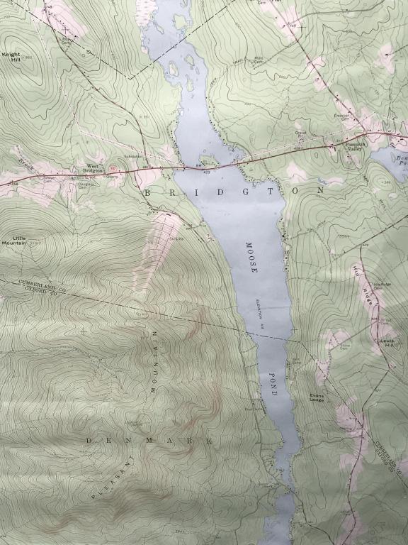 Framed Geological Survey Map Of Denmark, Maine: Map is matted and set behind plexiglass in black tone metal frame. Measures approx 28 inches in height by 20 inches in width with frame. Some surface wear of frame and plexiglass, might need reframing