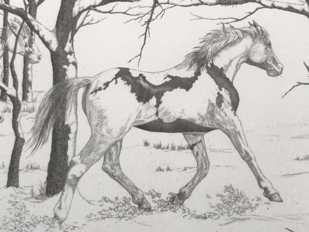 Pair B.J. BROWN Black & White Horse Prints: Pair of Bernie BROWN b&w horse prints. Prints are set behind glass in scrubbed wood style frames. Each measures approx 8 inches in height by 10 inches in width with frame. Decorative wall art, Canadia