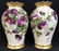 Pair French Paris Porcelain Botanical Vases