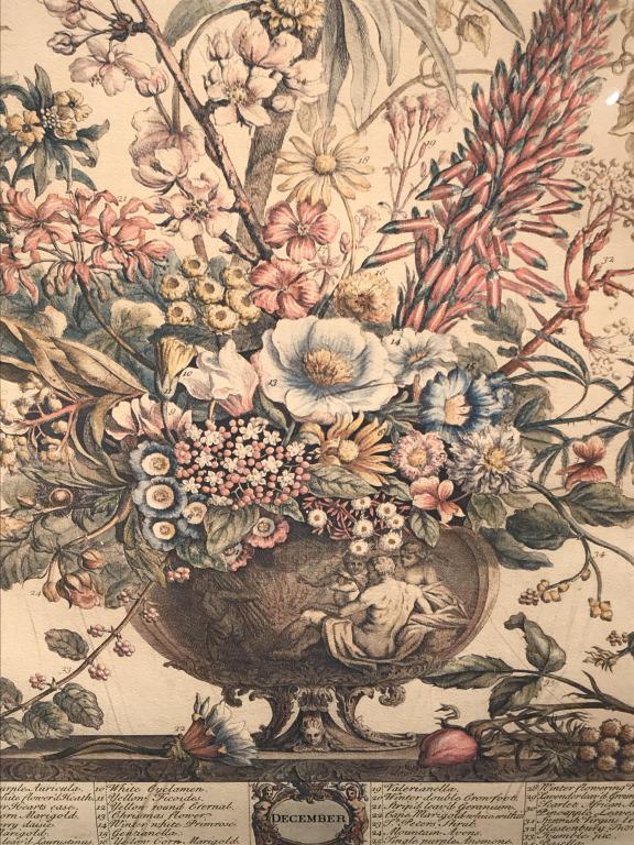 Framed Print, Robert Furber’s ‘December’ Flowers: Frame digital print of Robert Furber’s botanical floral illustration of ‘December’ flowers. Print is double matted and set behind plexiglass in gold tone wood style frame. Measures approx 21.6 i