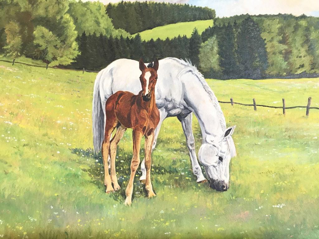 Vintage D. Steinle Painting Of Horses: Piece is signed D. STEINLE 1962 on lower left corner. Painting depicts 1 white horse and 1 brown toned horse. Piece is professionally framed with beige toned frame. Piece measures approx 22.5 inches l