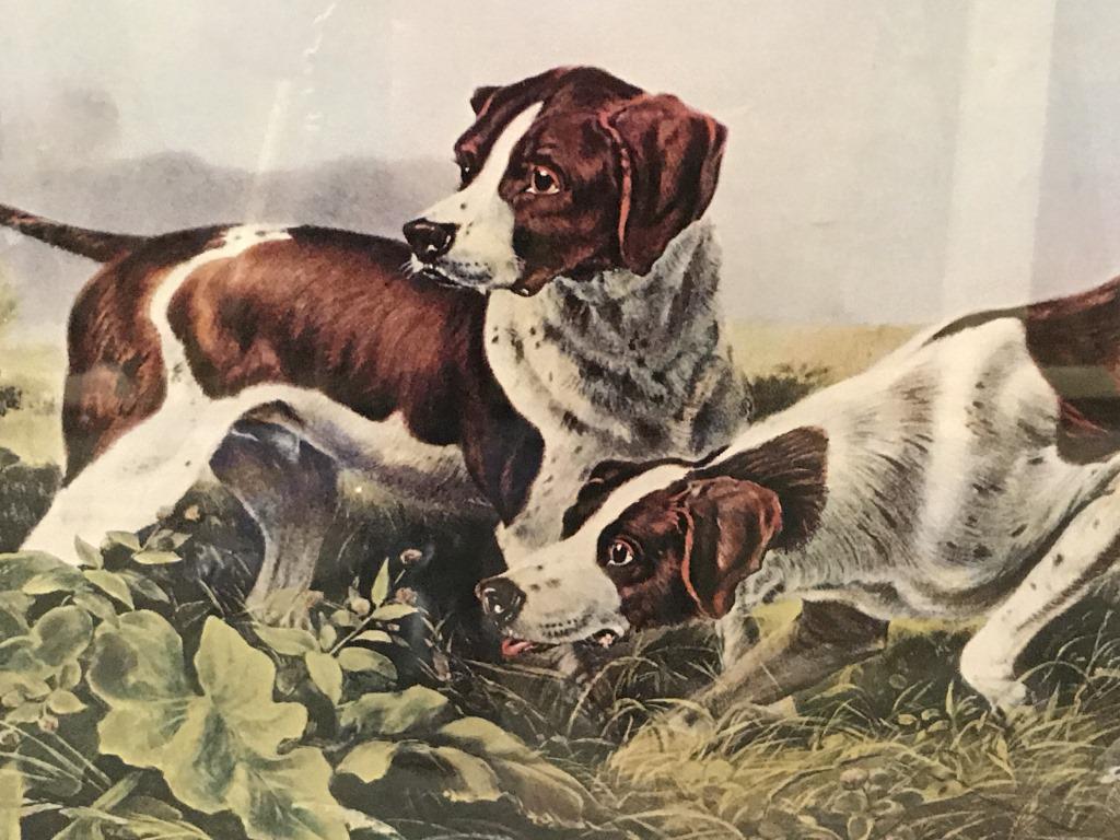 Framed Print of Hounds on the Scent: Frame print depicting two hounds on the scent of birds. Print is double matted and set behind plexiglass in wood composite frame. Measures approx 26 inches in height by 33.75 inches in width with fram