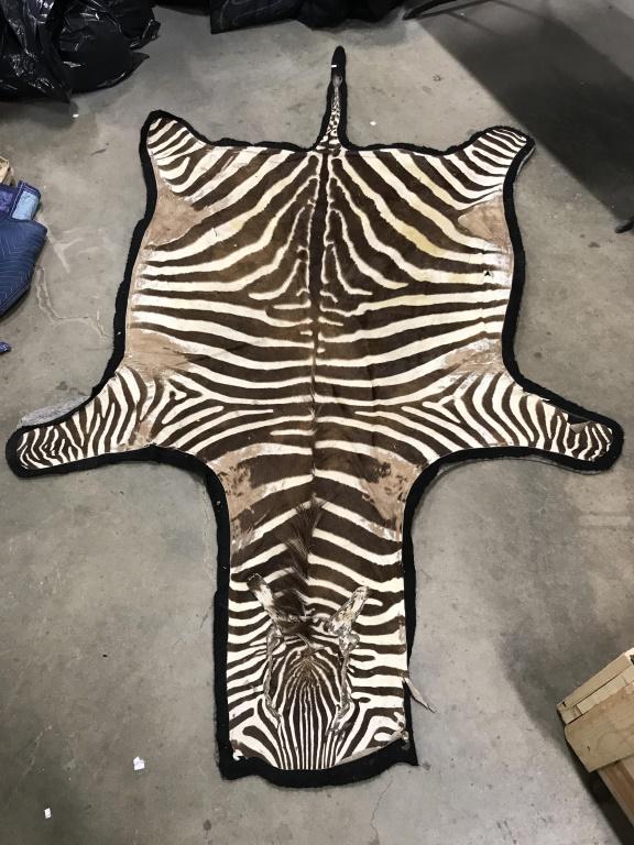 Zebra Hide Rug: Rug has tones of brown and cream. Rug, zebra Hide rug, zebra Hide carpet. african animal hide, home decor, rustic decor, home accent Piece measures approx 108 inches long 65 inches wide. Contains some