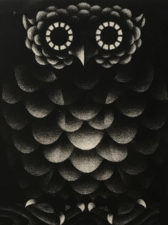 Signed & Numbered AVATI Mezzotint, Night Owl: Signed AVATI in pencil in lower right corner for Mario AVATI (French, 1921-2009). Numbered 18 / 100 and titled ‘Un Oiseau, La Nuit.’ Mezzotint depicts an owl at night. Plate marks visible. Mezzoti