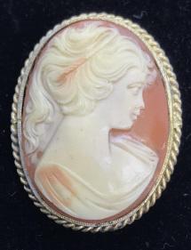 Vintage Victorian Cameo Pin: Depicts young Victorian lady with flowing hair. Pink composite material, cream cameo profile in relief, bezel set with accents of twisted rope design. 1 3/4 x 1.5 in., .5 in. depth. Costume Jewelry, C