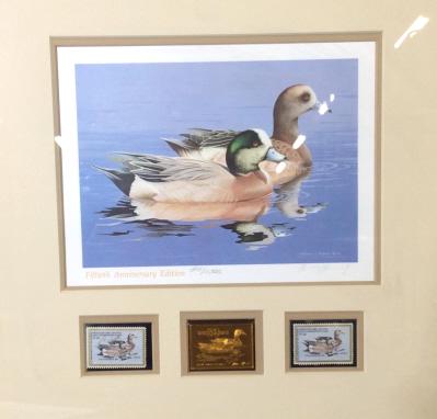 Signed 50th Anniversary Waterfowl Print: This is a signed print, by WILLIAM MORRIS and 1984-85 50th Anniversary Waterfowl stamps. The piece is framed and includes two stamps, and a Medallion featuring the artist’s work. The waterfowl being