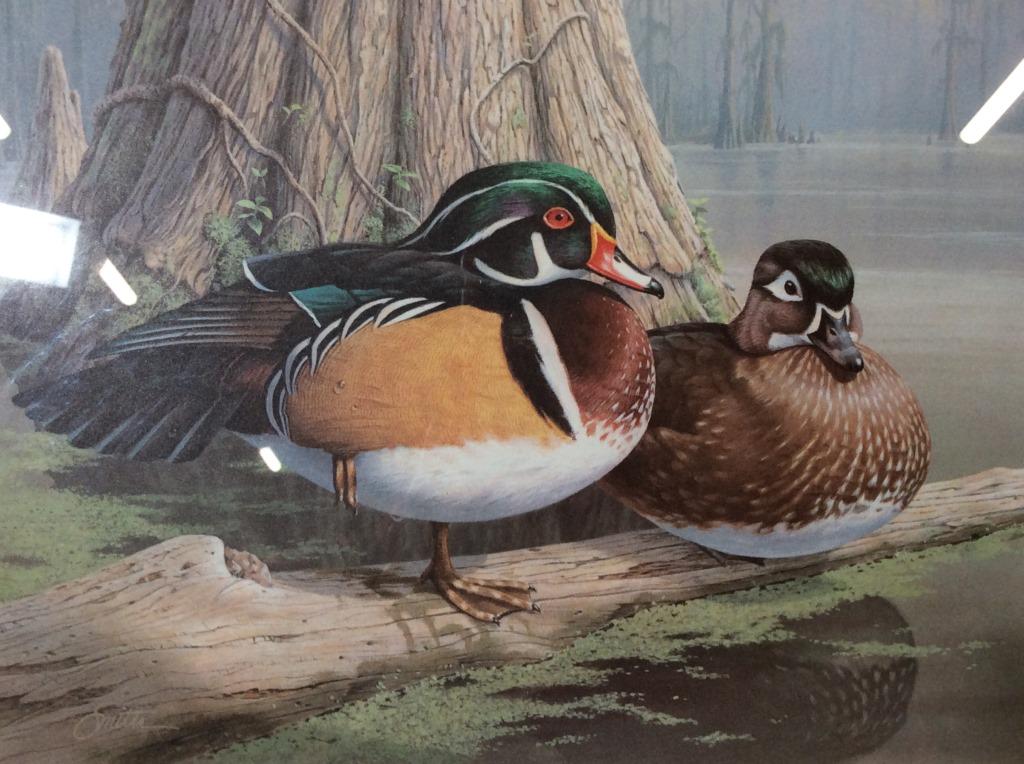 Signed DANIEL SMITH Collectible Waterfowl Print: This is a signed print, by DANIEL SMITH, these are 1985 Georgia Waterfowl stamps. The piece is framed and includes two stamps, and a Medallion featuring the artist’s work. The waterfowl being depict