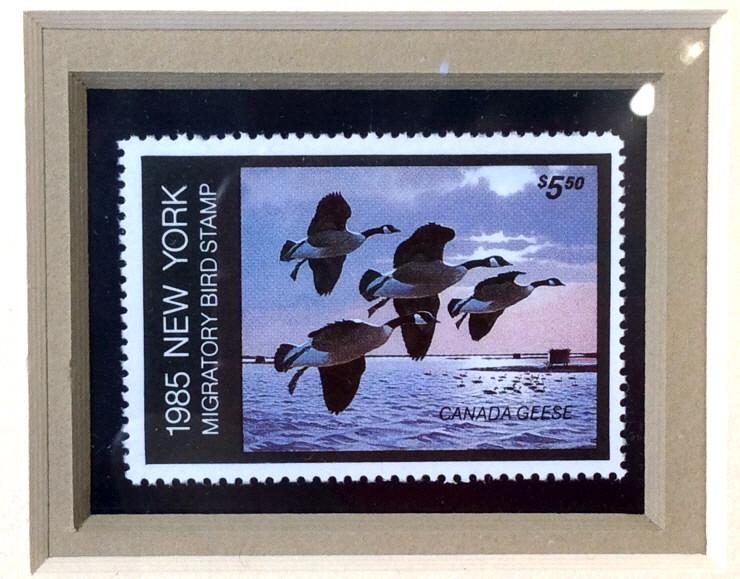 Signed LARRY BURTON Waterfowl Collectible Art: This is a signed print, by LARRY BURTON and 1985 New York Migratory Bird stamps. The piece is framed and includes two stamps, and a Medallion featuring the artist’s work. The waterfowl being depicte