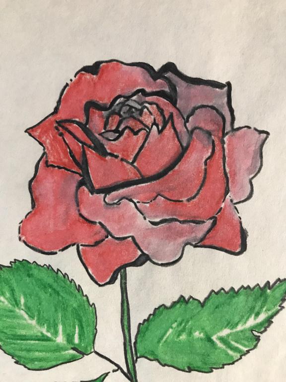 Rose Drawing On Paper After Andy Warhol: Pen And Ink Untitled Rose Drawing On Paper Hand colored, Possibly Watercolor after Andy Warhol (1928-1987), Signed Andy Warhol in lower edge of artwork, measures approximately 10.75 inches tall x 8.5