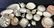 Set 86 pcs Thomas Rosenthal Fine China, - 2