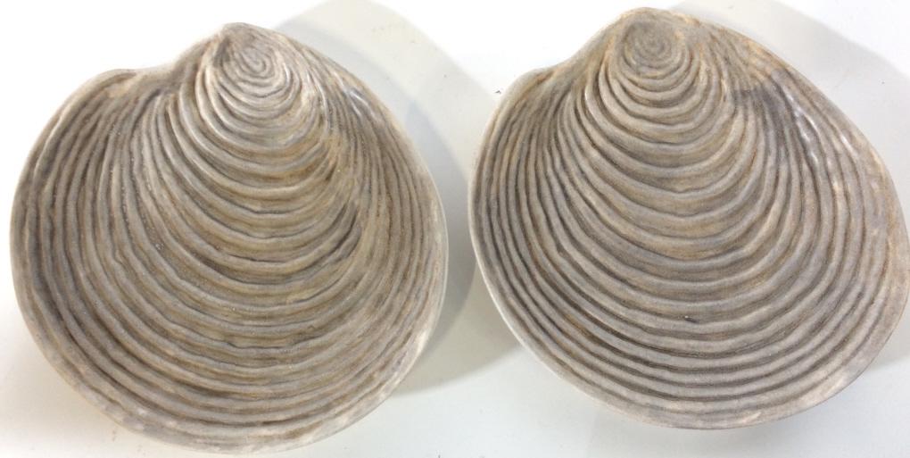 GUILLOT FRANCE Decorative Porcelain Shell Plates: Undersides of each are marked GUILLOT FRANCE. Plates have shapes of seashell. Pieces have cream and slate tones. Each measures approx 9 inches wide and deep. Shell plates, beach house decor, coquillag