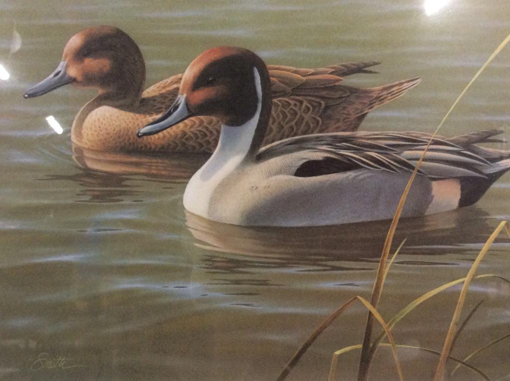 Signed DANIEL SMITH Collectible Waterfowl Print: This is a signed print, by DANIEL SMITH, and 191997 Arizona Waterfowl stamps. The piece is framed and includes two stamps, and a Medallion featuring the artist’s work. The waterfowl being depicted i