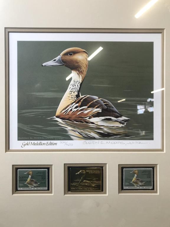 Signed BURTON E MOORE Collectible Waterfowl Art: This is a signed print, by Burton E Moore and 1987 Kansas Waterfowl stamps. The piece is framed and includes two stamps, and a Medallion featuring the artist’s work. The waterfowl being depicted is 