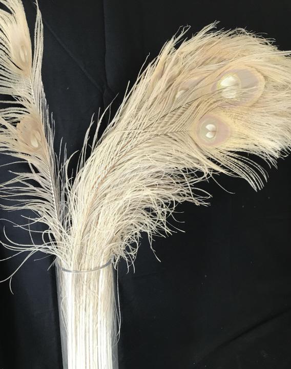 VIZ Tall Tubular Vase with Peacock Feathers: Decorative Floor, Corner or Entryway Table VIZ clear glass vase, 20 in. Tall, 4 in wide. Soft peacock Feathers with light pink Medallion color at tips, stand 34 in. Decorative Arts, X tea tall vessel,