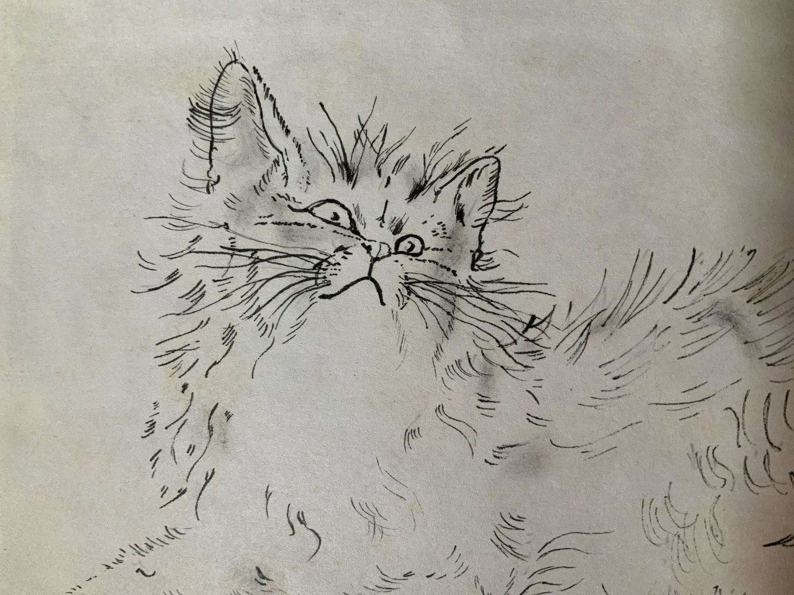 Signed Pen Drawing AFTER Tsuguharu Foujita: Signed pen possibly Thin Marker drawing on paper, signed in marker lower right corner Foujita, dated and labeled lower right corner Madrid 1951, subject cat lying down, attributed to Tsuguharu Foujita