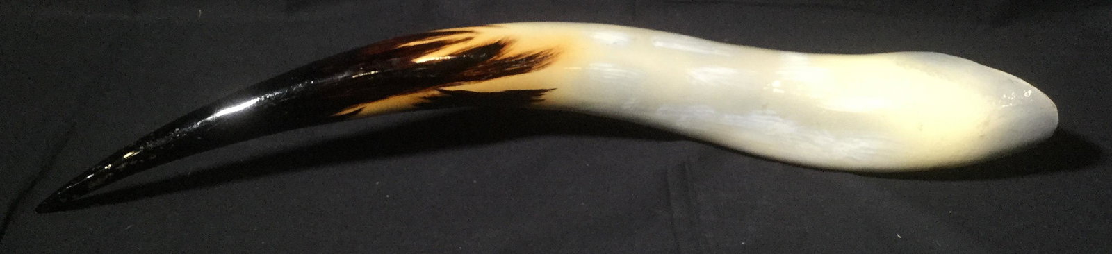 Hand Painted Decorative Ox Horn Decor: This is a hand painted oxen horn. This piece has been Hand Painted in brown and white toned on a beige base. A glossy topcoat has been applied to the piece. The piece measures approx 25 inches long. T
