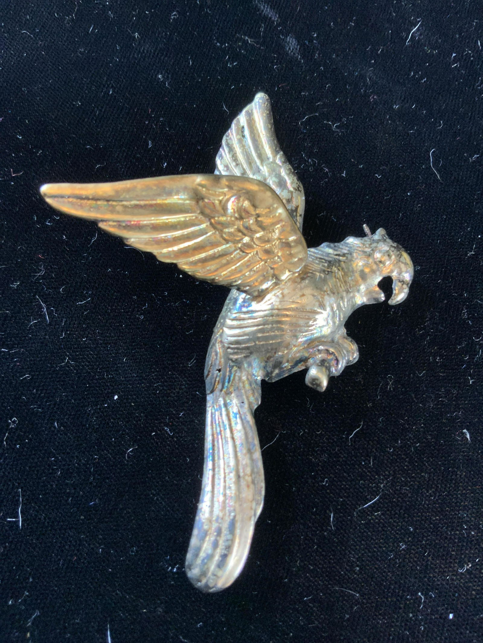 Vintage Gold Toned Parrot Pin: With spread wings parrot brooch measures app 4 inches by 2.5 inches, estate jewelry, vintage jewelry, parrot pin, brooch