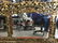 Oversized Asian Style Hand Carved Mirror - 6