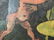 Signed Oil on Canvas - 4