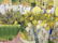 Signed Oil on Canvas Sai Morikawa - 5