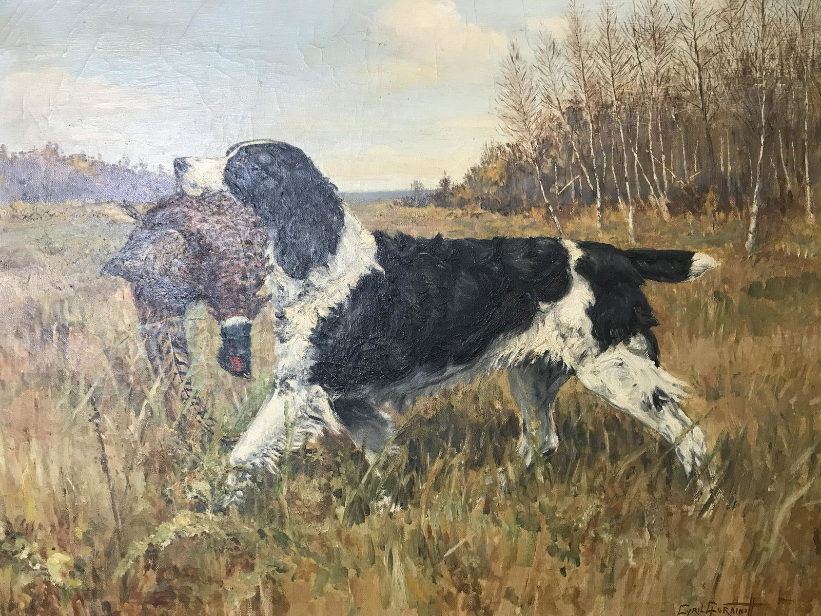 Signed Oil on Canvas Of Hunting Dog: Signed oil on canvas painting of hunting dog, signature in the lower right corner reads ‘Cyril Gorainott’, subject of painting a black and white hunting dog carrying a pheasant through a field, pa
