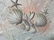 Signed Mixed Media on Canvas Dusso