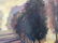 Oil on Canvas Painting - 4