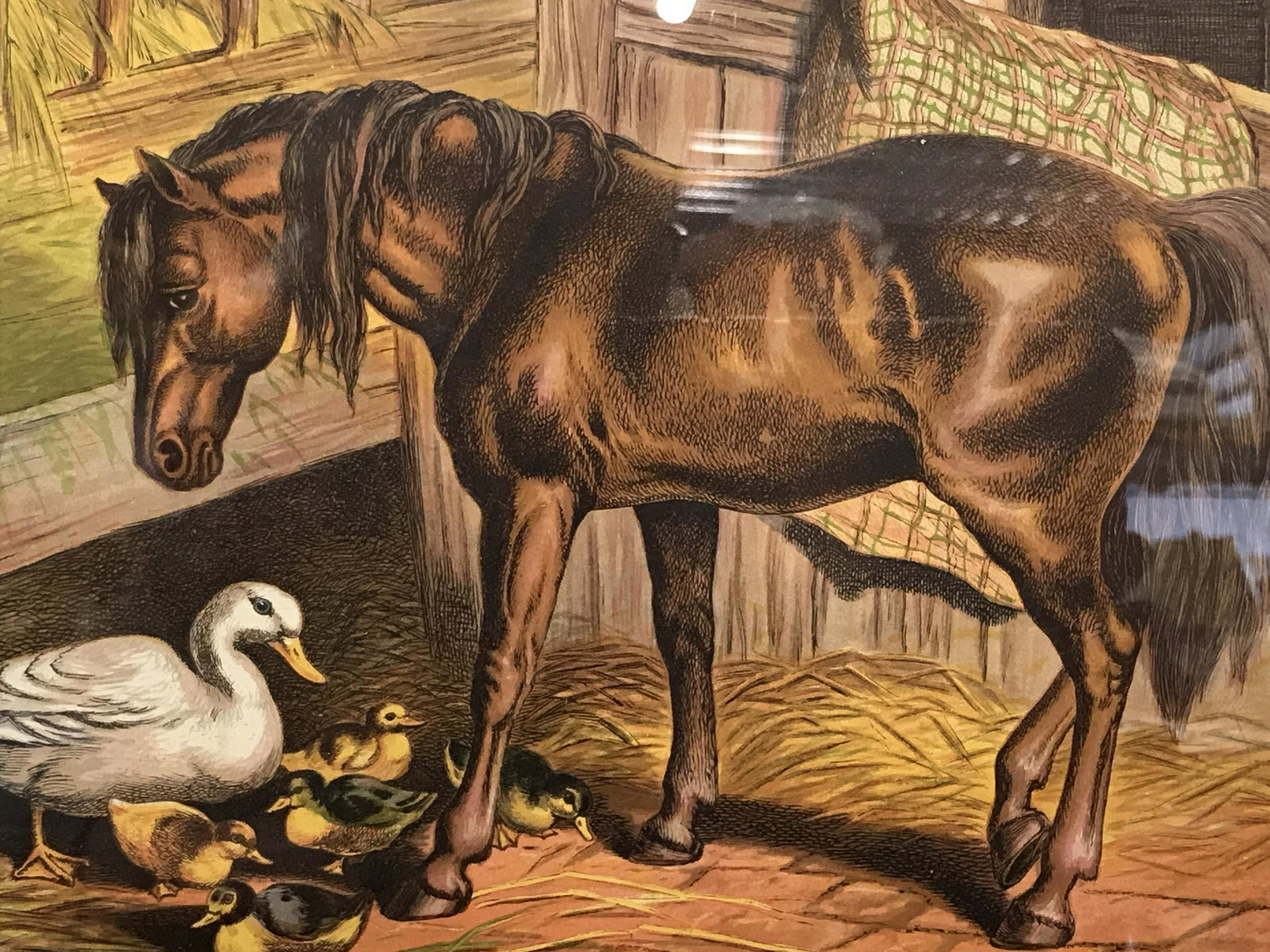 Framed Barn Animal Engraving Print: Framed barn animal engraving print, no apparent signature, subject the inside of a barn with a horse a duck and ducklings, double matted in white and brown, wooden frame, sticker to reverse reads ‘F