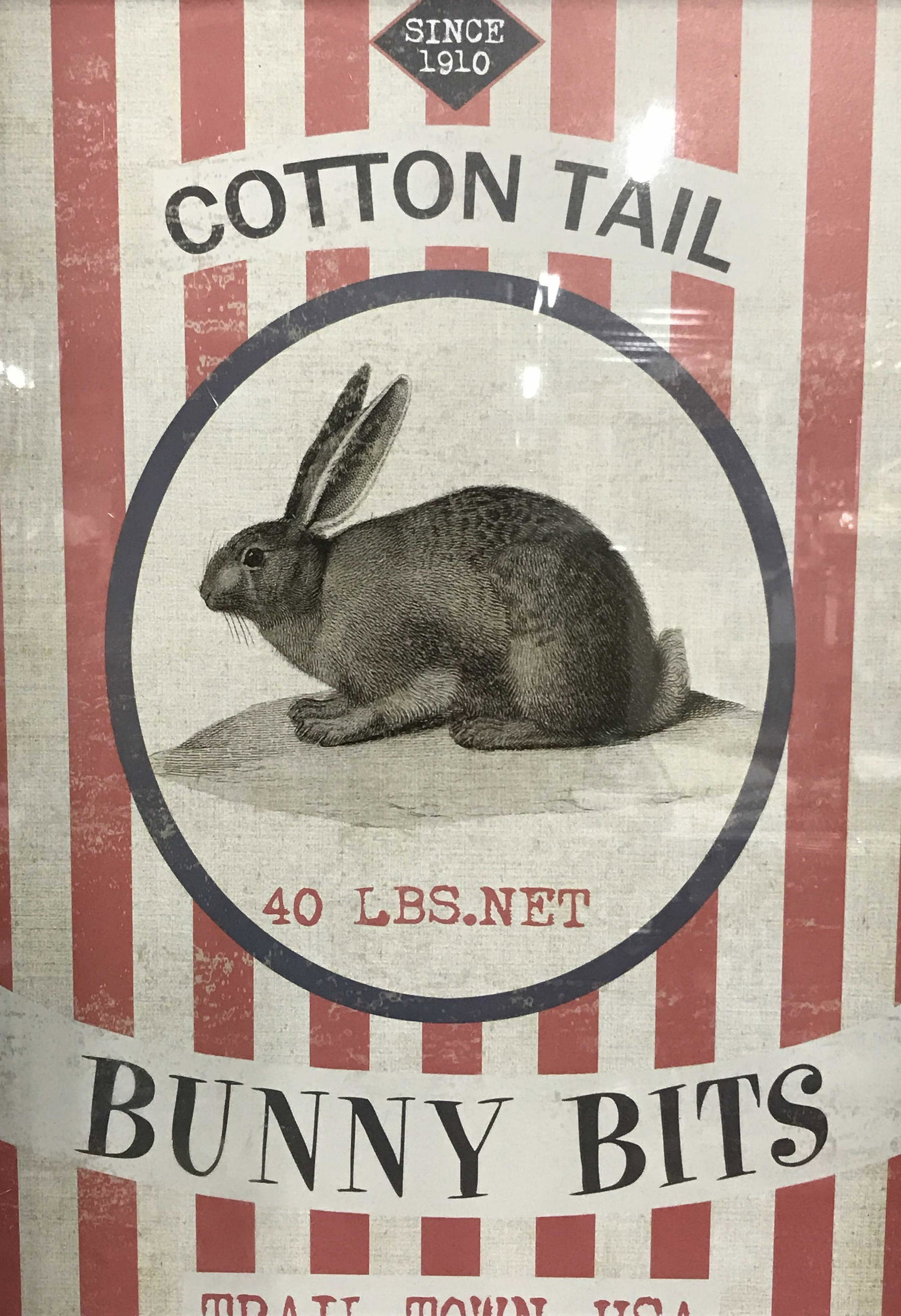 Framed Bunny Bits Advertisement: Framed Advertisement, ad displays text and a black and white rabbit in a blue circle with red stripes, text on top center section reads ‘Since 1910 Cotton Tail’, text in lower section reads ‘40 