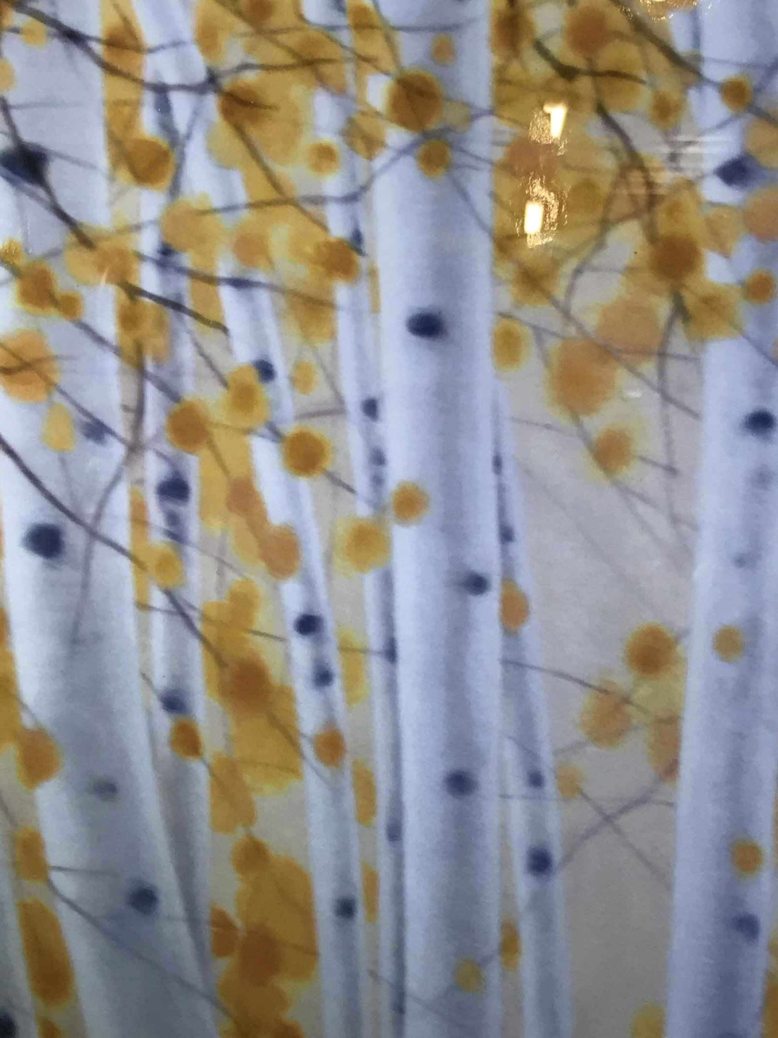 Photograph of Painting: Photograph of painting, no apparent signature, subject birch trees with yellow abstract leaves, white matting, brown wooden frame, frame in good condition, measures 20.75 inches tall by 20.75 inches w