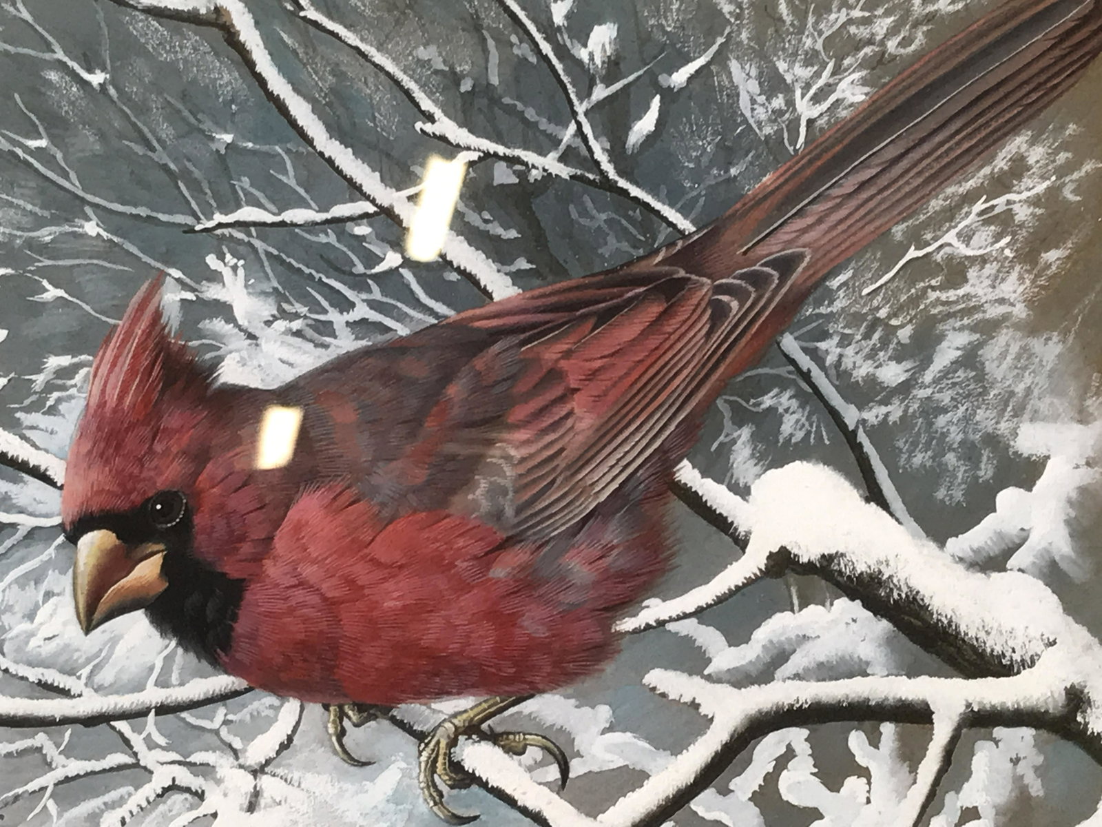 Signed Oil Painting Basil Ede: Signed oil paint, signature in the lower right corner reads Basil Ede, subject cardinal bird perched on a snow covered branch, uses hyper realism, tan matting, white painted wooden frame, measures 23 