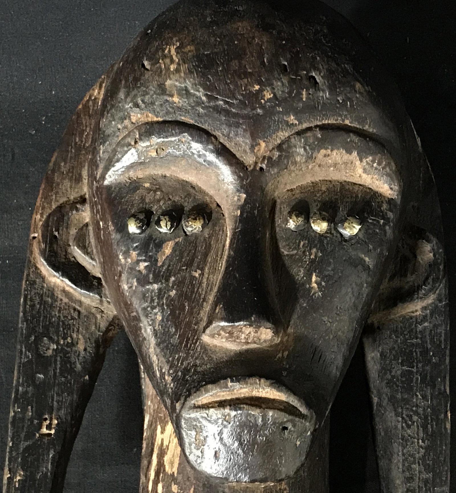 Fang Head Reliquary: Fang Head Reliquary Gabon, origins can be found in Gabon Central Africa, hand carved from one block of wood, painted with black pigment and accented with gold colored metal, a highly spiritually power