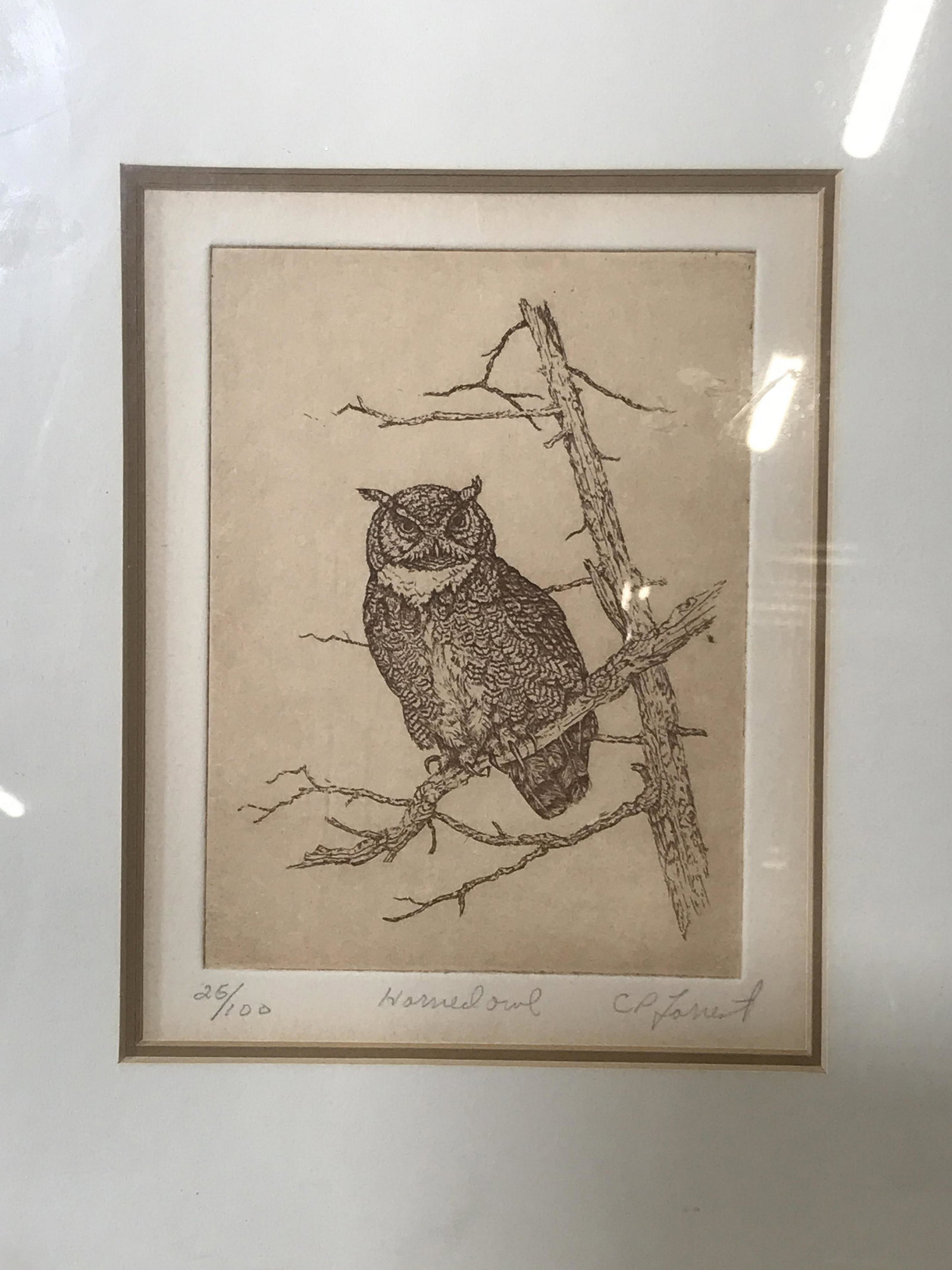 Signed Limited Edition Etching C.P. Forrest: Signed limited edition etching on heavy weight paper, signature in the lower right corner in pencil possibly reads C.P. Forrest, title on the lower center border reads Horned Owl, Edition in the lower