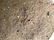 Signed Antique Ceramic Tribal Sculpture - 9