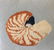 Beach Needlepoint Shell Decor Pillow