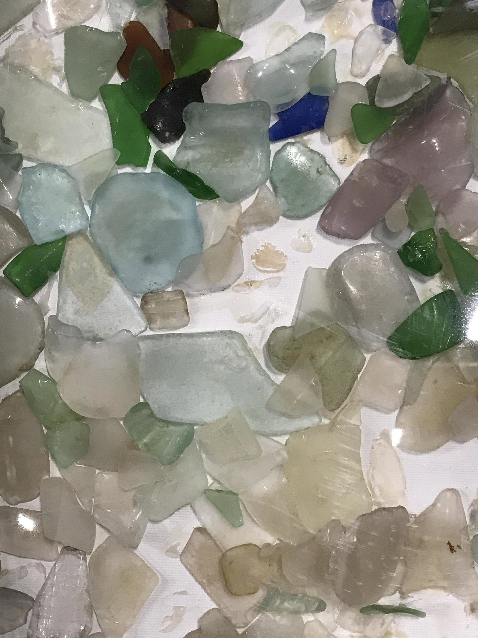 Signed Sea glass on board Helga Brinitzer: Signed Sea Glass collage on board, signature on a piece of glass reads Helga, subject a collage of sea glass glued on board, some glass has fallen from the section, white matting, in plastic frame, ca