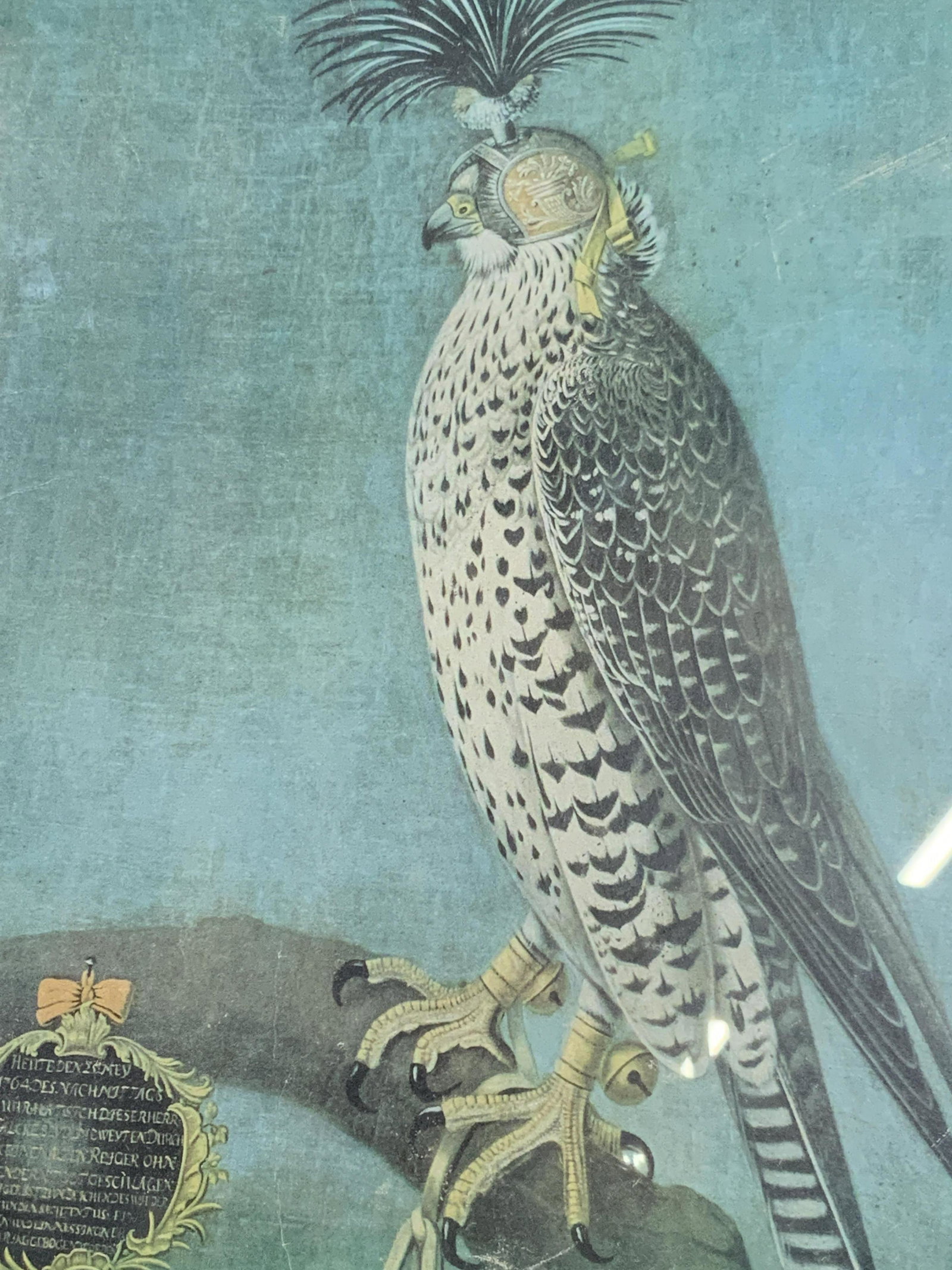 Framed Lithograph of Hawk: Avian relief lithograph of hawk with blinder helmet, no apparent signature, bird depicted on branch with bells on its ankles as well as an ornate, feathered, helmet, in the lower left corner is an emb